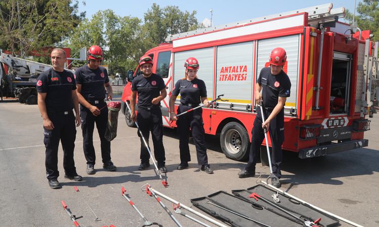 Snake Incidents Rise in Antalya; Fire Department Issues Warning