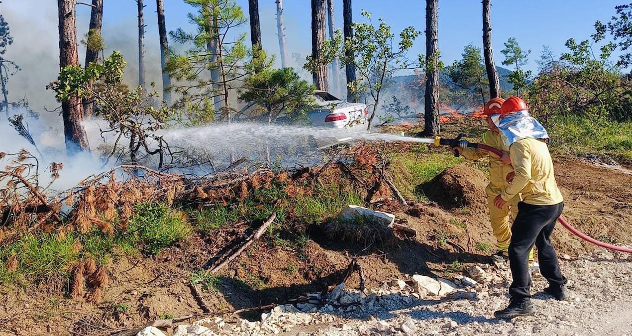 The fire that started in the car spread to the forest - Last Minute