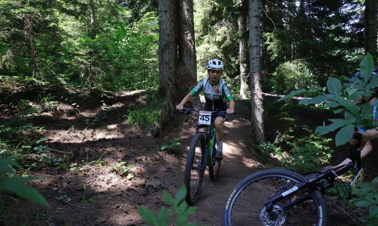 Ayrıntılar Netleşti: Artvin'de dağ bisikleti heyecanı: 41 sporcu zorlu parkurda pedal çevirdi - Son Dakika Hab