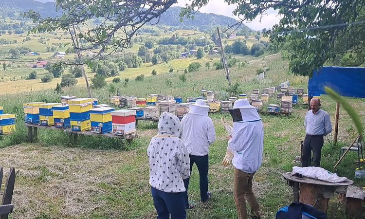 Gündemden Son Bilgiler: Artvinli bal üreticileri: "Şavşat balı dünya kalitesinde ancak marka değeri yok" - Son