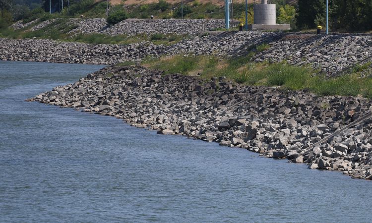 Kritik Açıklama: Avusturya'da sıcaklık 41 dereceyle tüm zamanların en yüksek seviyesine çıktı - Son Dakika