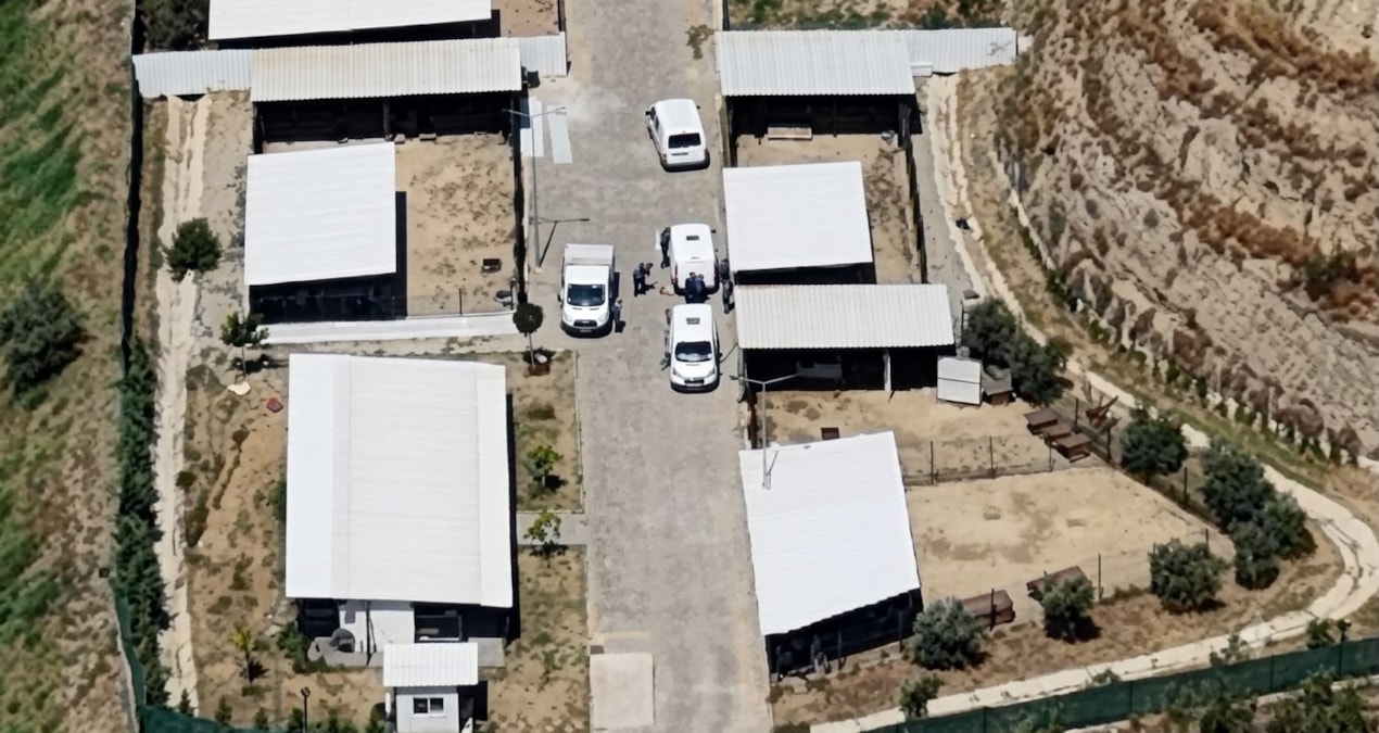 Allegation that it is not a shelter but a death camp in Aydın: Where are the thousands of animals? - Last Minute
