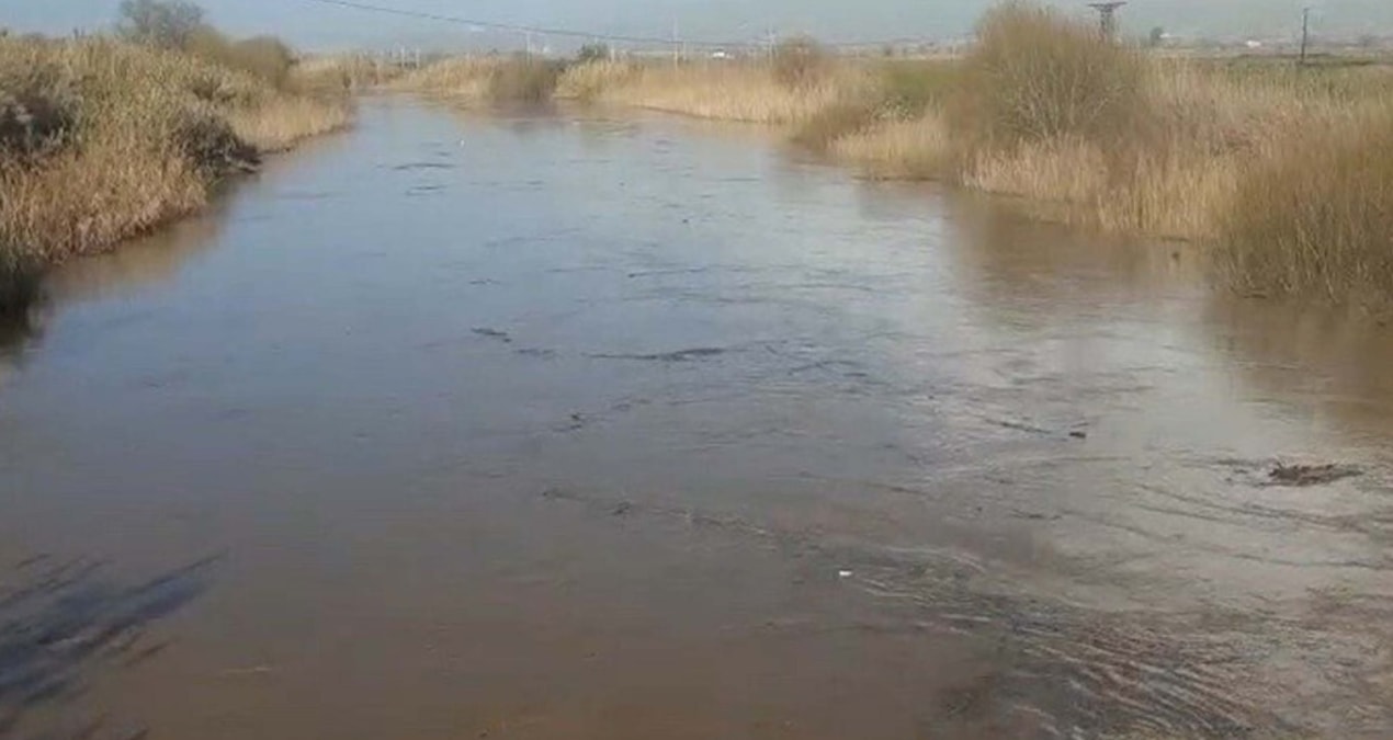 Son Gelişme: Aydın'da Büyük Menderes Nehri taştı: Tarım arazileri sular altında kaldı - Haberleri: Gelişmeler