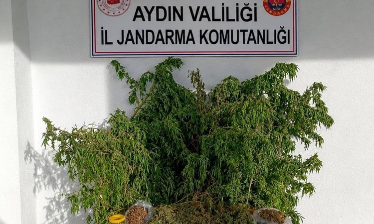 Aydın İncirliova'da jandarma operasyonunda evde 3 kilo 42 gram esrar ele geçirildi