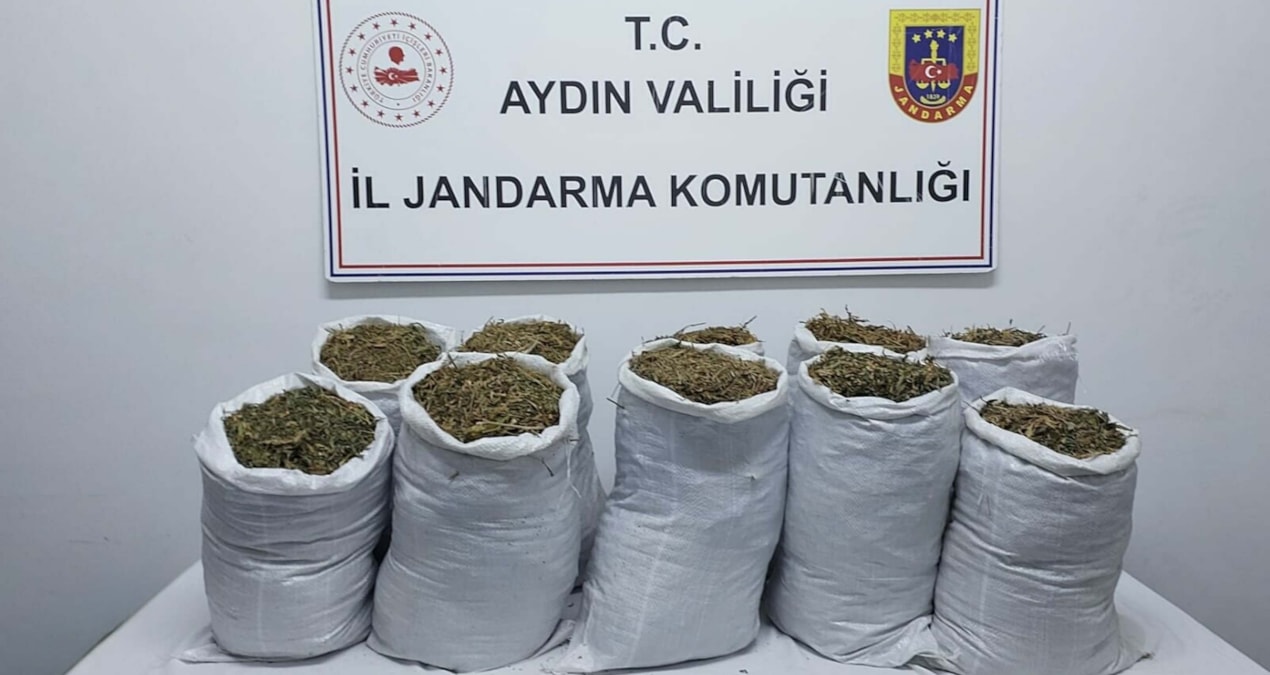 Ayrıntılar Netleşti: Aydın'da uyuşturucu operasyonu; 2 şüpheli gözaltında - Son Dakika Haberleri