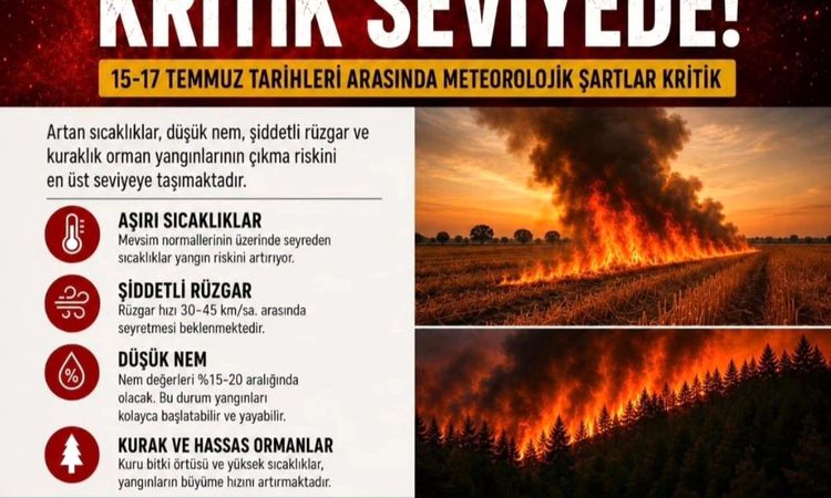 Forest flames warning from Aydın Governorship - Breaking News