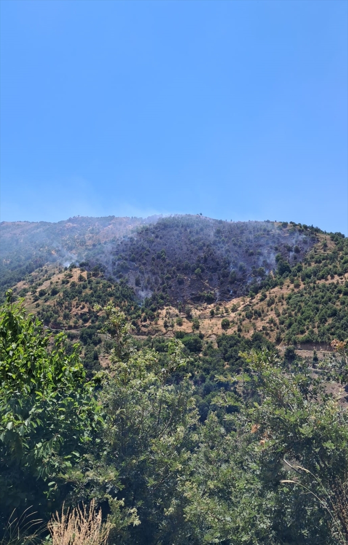 The flames in the agricultural area in Aydın were extinguished - Last Minute