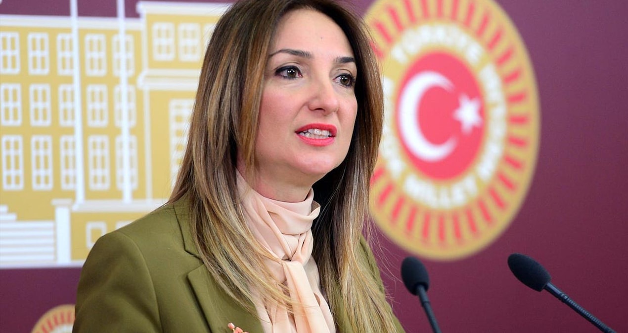 Ayrıntılar Netleşti: Aylin Nazlıaka: "Devlet, yurttaşına onurlu yaşam koşullarını sağlamak zorundadır" - En So