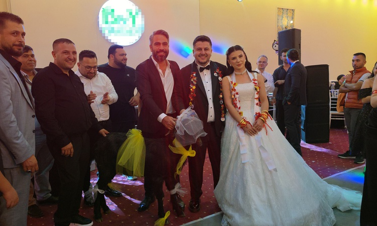 Ayrıntılar Netleşti: Adana Kozan'da düğünde damadın arkadaşı çifte mangal için keçi hediye etti: Gelişmeler Ta