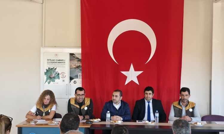 Ayrıntılar Netleşti: Afyonkarahisar'da haşhaş toplantısında kapsül fiyatı geçen yıla göre yüzde 50 arttı - Son
