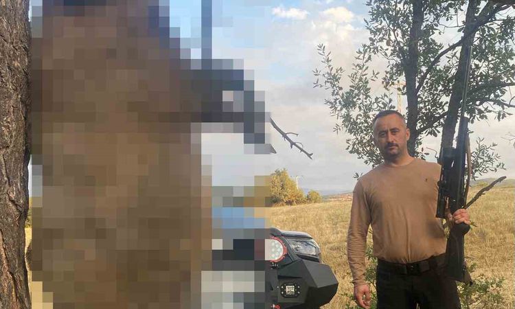 Ayrıntılar Netleşti: Akdağmadeni’nde yaklaşık yarım tonluk dev yaban domuzu öldürüldü | İşte Tüm Ayrıntılar