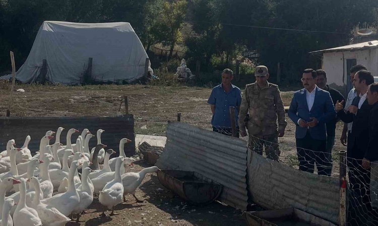 Ayrıntılar Netleşti: Akyaka’da kaz yetiştiriciliğine yakın takip - Son Dakika Bilgileri
