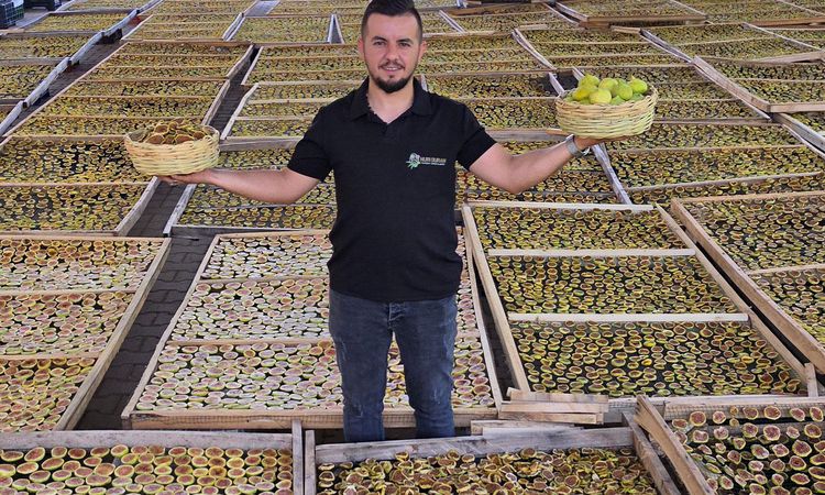 Ayrıntılar Netleşti: Aydın'dan dünyaya yayılan lezzet: İncir Cipsi