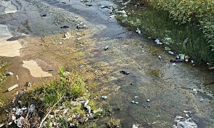 Ayrıntılar Netleşti: Aydın Efeler'de Tabakhane Deresi'ndeki çöpler çevre kirliliğine yol açtı - Son Dakika Bil
