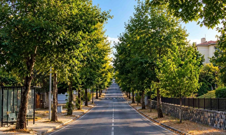 Ayrıntılar Netleşti: Aynı nokta 4 mevsim ve Merak Edilenler