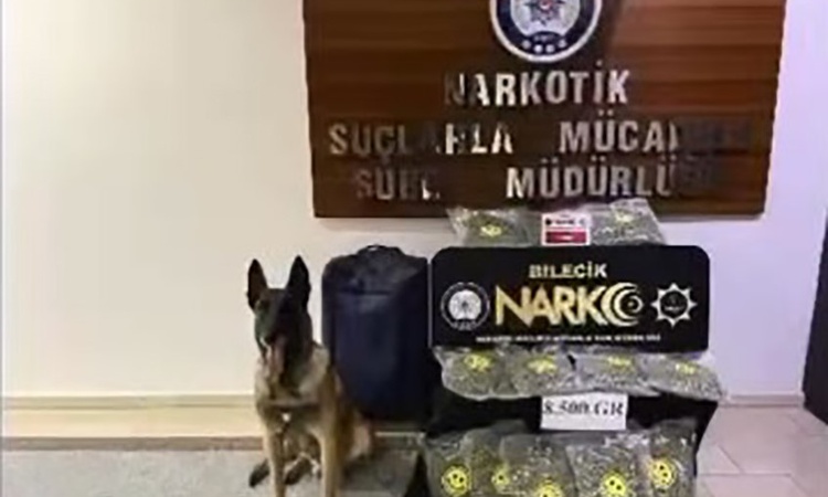 Ayrıntılar Netleşti: Bilecik'te bagajdaki valizde 8,5 kilo skunk ele geçirildi, 2 şüpheli hakkında tutuklama k