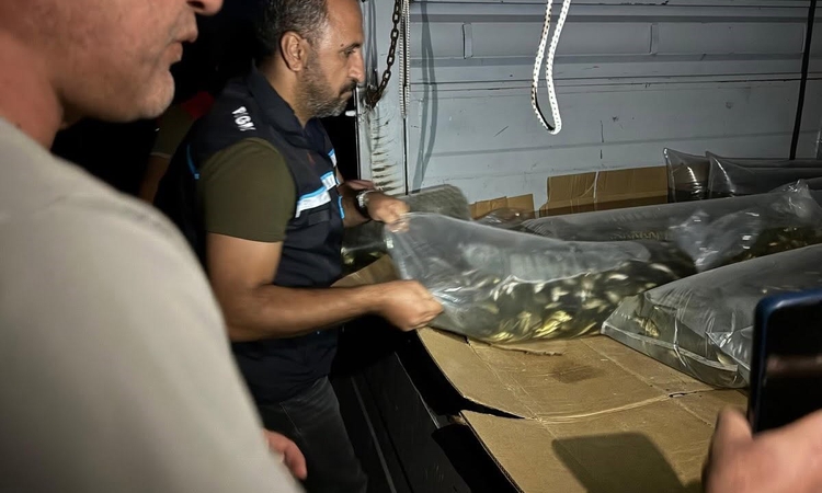 Ayrıntılar Netleşti: Bitlis'te su kaynakları 1 milyon 397 bin 500 yavru sazanla buluştu ve Merak Edilenler