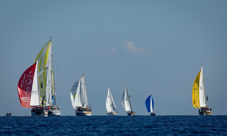 Ayrıntılar Netleşti: Bodrum Cup'ta Bodrum-Knidos etabı 90 tekne ve yaklaşık 1000 yelkenciyle yarışıldı - Son D