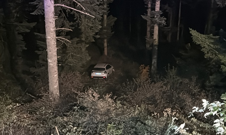 Ayrıntılar Netleşti: Bolu'da Çıkınlar Yaylası'ndan giden cip uçuruma yuvarlandı, 4 kişi yaralandı
