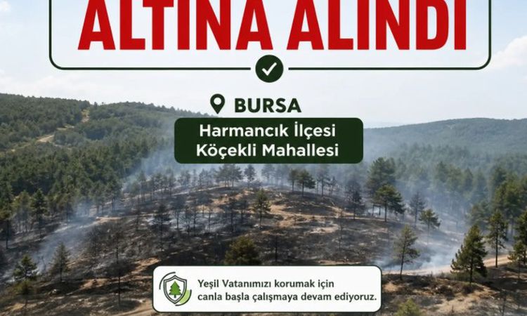 Ayrıntılar Netleşti: Bursa'da Orman Yangını 2,5 Saatte Kontrol Altına Alındı - Son Dakika Bilgileri