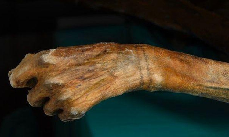 Ayrıntılar Netleşti: Buzlar eriyince Ötzi gibi kalıntılar ortaya çıkıyor, kurtarmak için kısa süre var - Son D