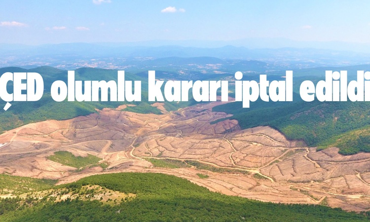 Ayrıntılar Netleşti: Çanakkale'de mahkeme altın-gümüş madeni projesinin ÇED olumlu kararını iptal etti - Son D