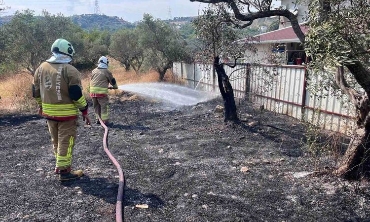 Ayrıntılar Netleşti: Defne'de zeytinlik yangını kontrol altında: Gelişmeler Takip Ediliyor