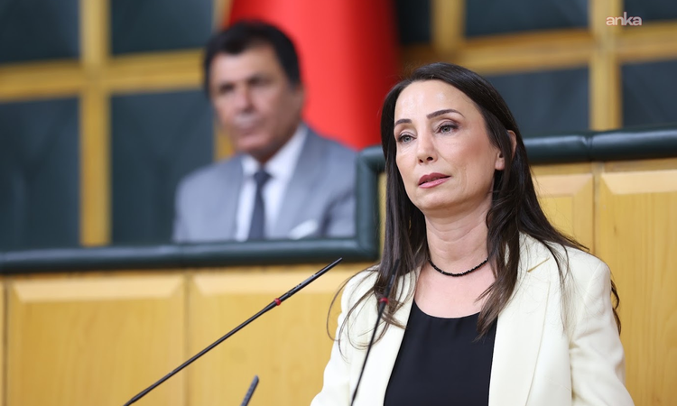 Ayrıntılar Netleşti: DEM Partili Hatimoğulları, Vartinis'te 7'si çocuk 9 insanın katledildiğini hatırlattı: Ge