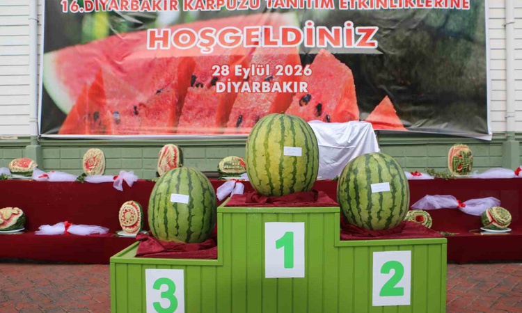Ayrıntılar Netleşti: Diyarbakır'da karpuz yarışında Adil Aydın'ın 47 kilo 900 gramlık karpuzu birinci oldu - S
