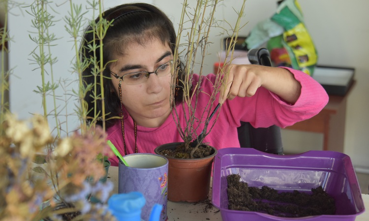 Ayrıntılar Netleşti: Doktorlar yüzde 1 yaşama şansı vermişti! Serebral palsili Kader Dilek 34 yaşında: Tekerle
