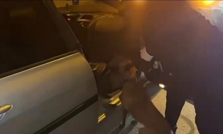 Ayrıntılar Netleşti: Gaziantep'te polis operasyonunda 1 kilo 50 gram sentetik kannabinoid ele geçirildi: Geliş