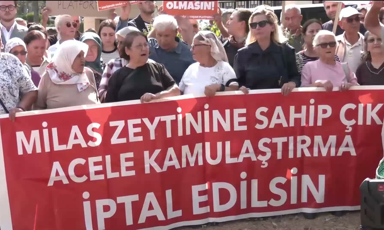 Ayrıntılar Netleşti: Hak savunucularından "acele kamulaştırma" projelerine tepki: Bir şirketi binlerce hayvana