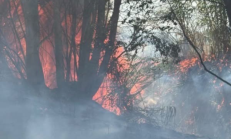 Ayrıntılar Netleşti: Hatay Antakya Arpahan'da ağaçlık ve otluk yangını kısa sürede kontrol altına alındı. - So