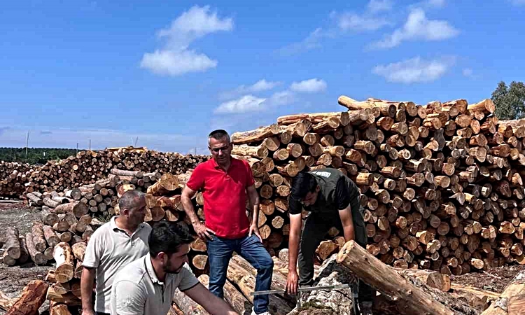 Ayrıntılar Netleşti: Hatay Orman Bölge Müdürü Günay, Sahil Orman Deposu'nda barkodlu ürünleri inceledi | İşte