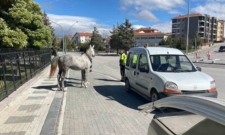 Ayrıntılar Netleşti: Karaman'da kaçan at otomobile arkadan çarptı, bagajda maddi hasar oluştu | İşte Tüm Ayrın