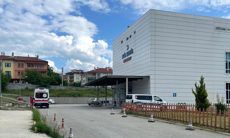 Ayrıntılar Netleşti: Kastamonu Taşköprü'de orman işçisi arı sokması sonucu yaşamını yitirdi | İşte Tüm Ayrıntı