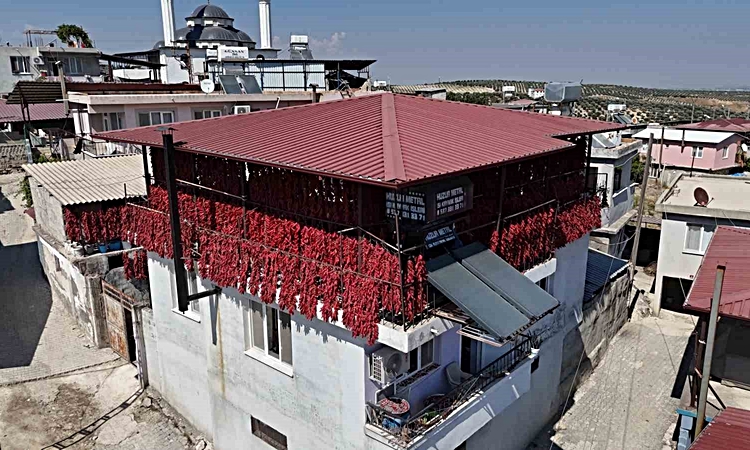 Ayrıntılar Netleşti: Kavurucu sıcakta tek tek ipe dizilen dolmalık acı biberler, mahalledeki balkonları kırmız