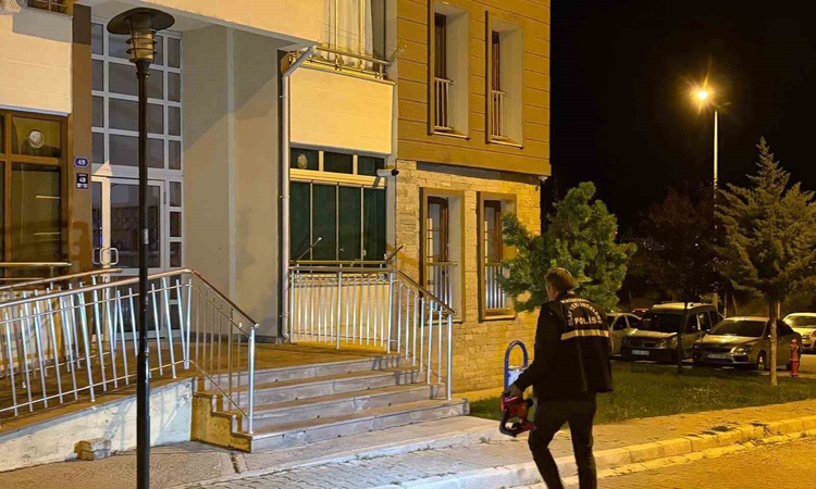 Ayrıntılar Netleşti: Kayseri Melikgazi'de hesap kavgasında kurye ve sipariş veren kişinin annesi yaralandı