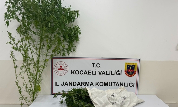 Ayrıntılar Netleşti: Kocaeli Kartepe'de 3 kilo 750 gram esrar ele geçirildi, 1 şüpheli hakkında tutuklama kara