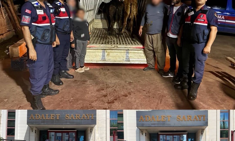 Ayrıntılar Netleşti: Korkuteli'de çalınan hayvanları satan 2 şüpheliden biri hakkında tutuklama kararı verildi