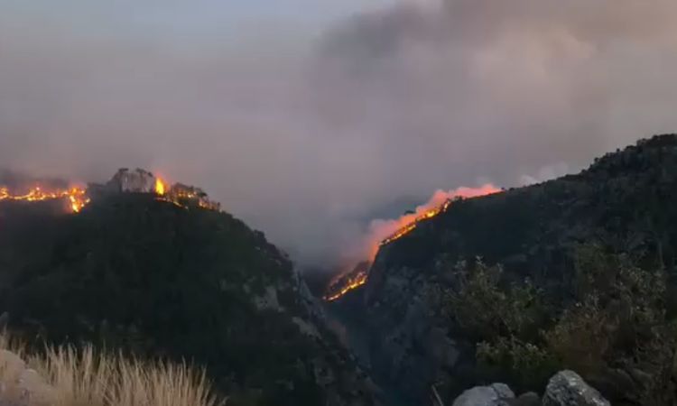 Ayrıntılar Netleşti: Kozan'da 2 ayrı noktada orman yangını; yerleşim yerleri tedbir amaçlı boşaltıldı ve Merak