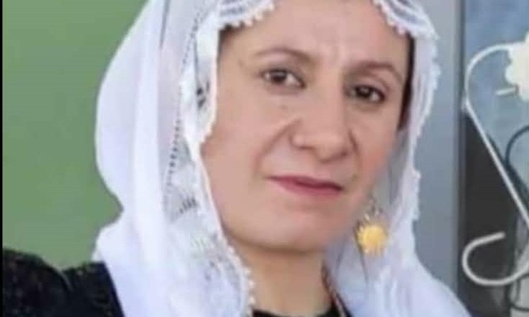 Ayrıntılar Netleşti: Mardin Derik'te halı yıkarken akıma kapılan 4 çocuk annesi Yeter Talay öldü - Son Dakika
