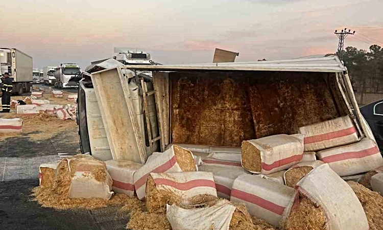 Ayrıntılar Netleşti: Mardin’de saman yüklü kamyonet devrildi: 1 yaralı ve Merak Edilenler