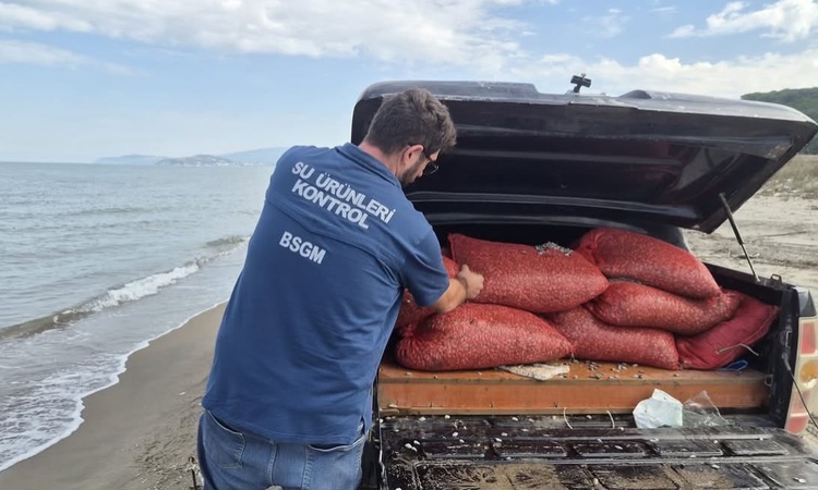 Ayrıntılar Netleşti: Mudanya'da kaçak avcılıkta 17 el dreçi ve 2 ton 760 kilo kum şırlanı ele geçirildi - Son