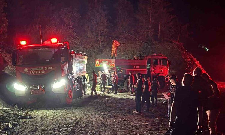 Ayrıntılar Netleşti: Nallıhan'da Orman Yangını Kontrol Altında ve Merak Edilenler