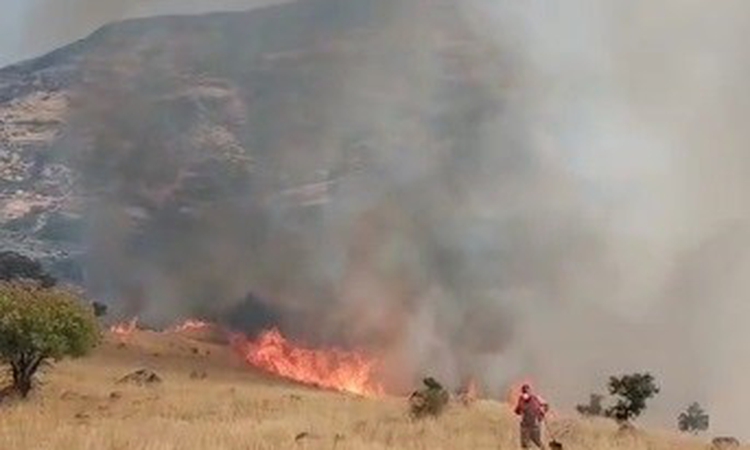 Ayrıntılar Netleşti: Nazımiye’de orman yangınına havadan ve karadan müdahale ve Merak Edilenler