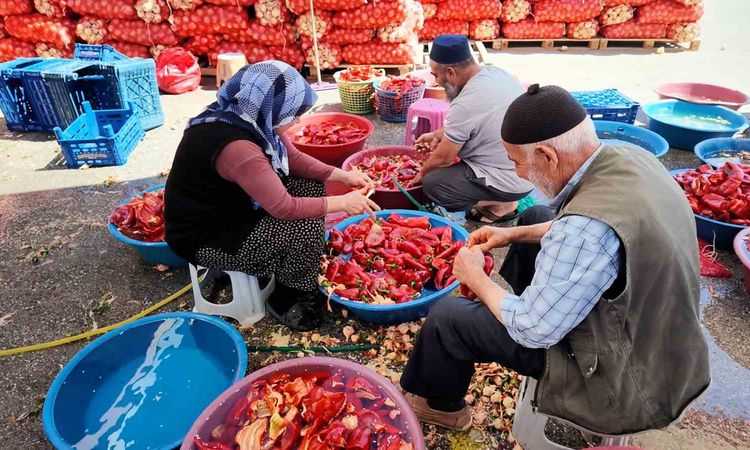 Ayrıntılar Netleşti: Niğde'de kışlık salça telaşı resmen start aldı