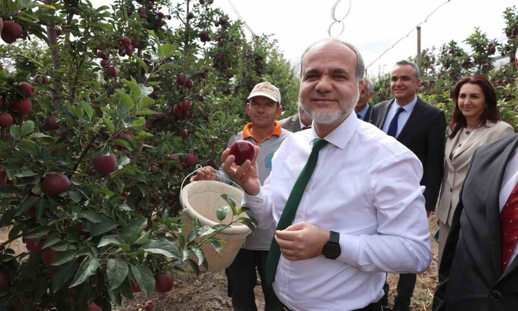 Ayrıntılar Netleşti: NÖHÜ elma bahçesinde hasat resmen start aldı, 2026'da 200 tonu aşan rekolte bekleniyor |