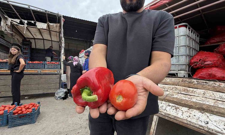Ayrıntılar Netleşti: Osmaniyeli kadınların salça ve konserve mesaisi resmen start aldı | İşte Tüm Ayrıntılar