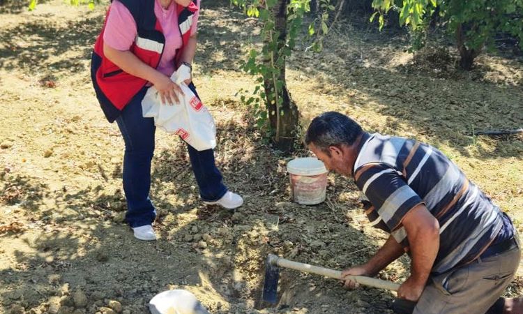 Ayrıntılar Netleşti: Pazarlar'da tarımsal verimlilik için toprak analizi ve Merak Edilenler